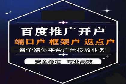 成功案例分享：SEM推广策略的制定与执行